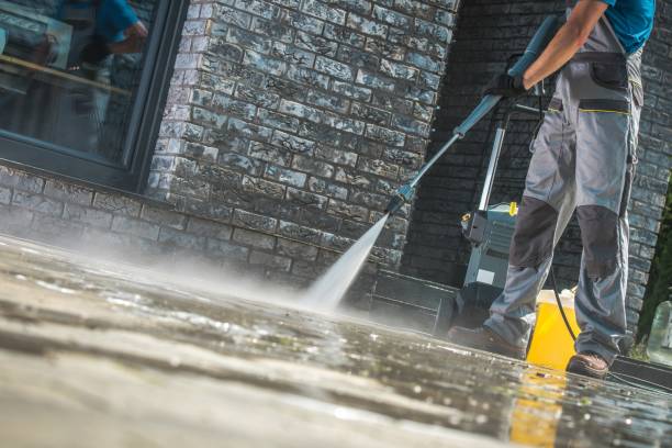 Best House Exterior Washing  in Doctor Phillips, FL